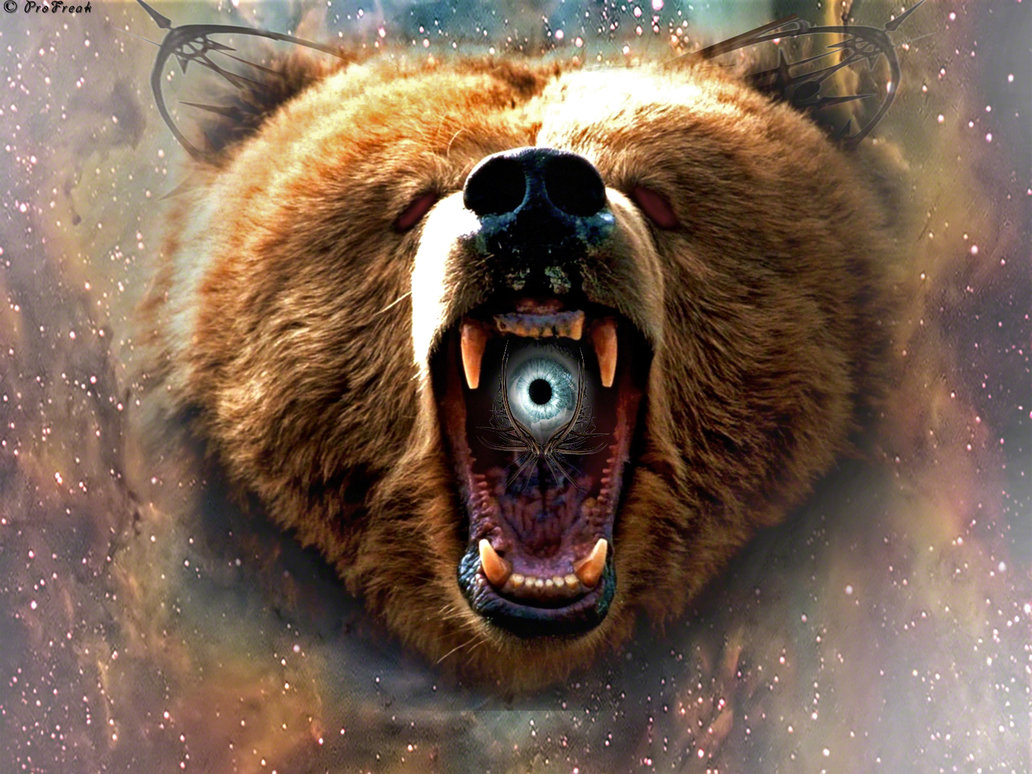 look__a_bear_in_space__by_profreakz-d4pp0k5